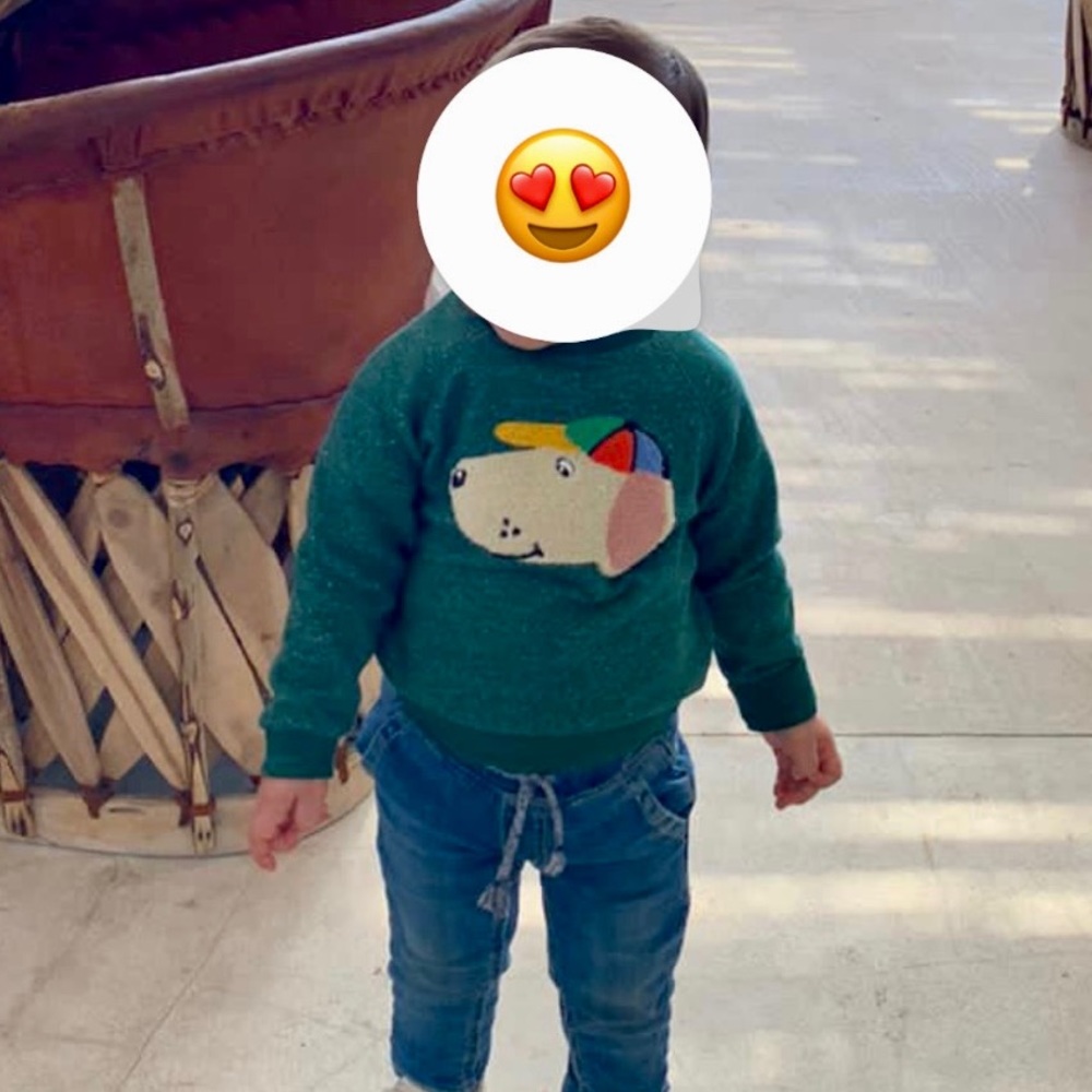 Sfera Doggie Sweatshirt
